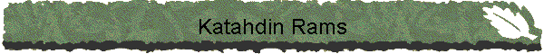 Katahdin Rams